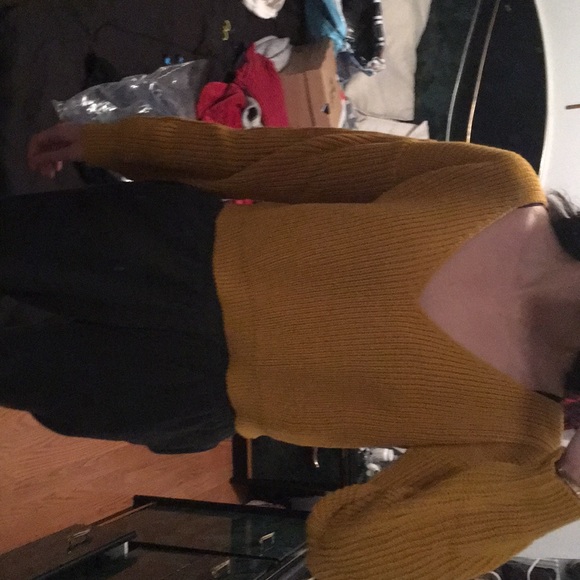 ❗️FIRM PRICE❗️Mustard Cropped Sweater w/ V-Neck - Picture 7 of 8